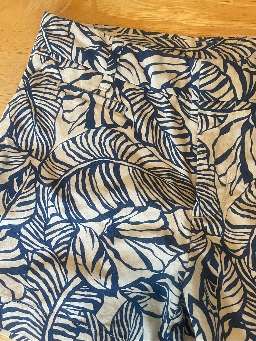 Patagonia Organic Cotton Blue & White Shorts Size 4 🤍💙 - Picture 3 of 7
